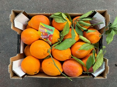 Foto Arance Tarocco Calibro 2 Origine Italia Marchio L'Arancia più 3